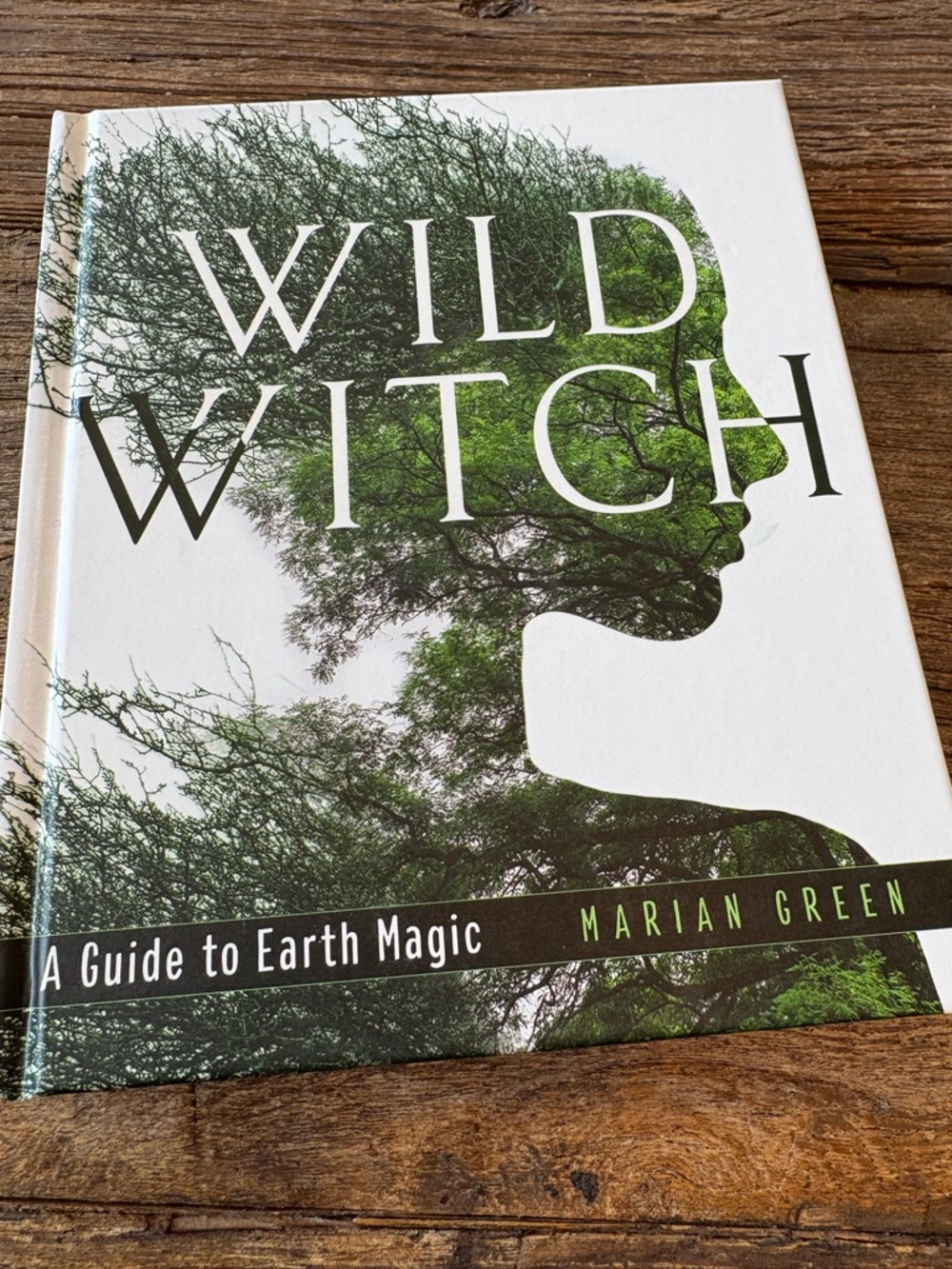 Wild Witch: A Guide to Earth Magic - Hardcover